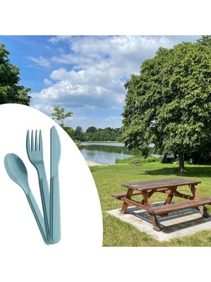 Aesco Hijyenik Plastik Piknik Seti, Kutulu Çatal Kaşık Bıçak Takımı