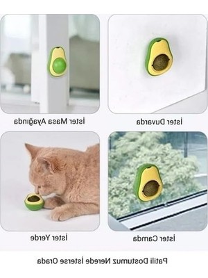 Aesco Kedi Nanesi Oyun Topu, Avakado Şeklinde Eğlenceli Oyuncağı