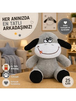 Aesco Figürlü Peluş Ayıcık, Sevgiliye Hediye Için Şirin Bir Seçenek