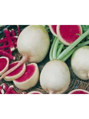 Aesco Çin Turp Tohumu - Aksel - 10 gr