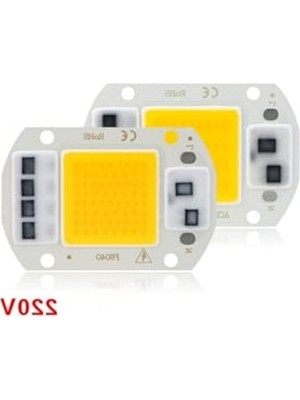 Aesco Gün Işığı LED Projektör, 220V, 50W Güç, Cob Teknolojisi
