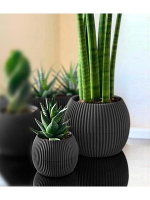 Aesco Yuvarlak Saksı Seti, 0,35 Litre ve 1,2 Litre, Antrasit Renk, Tabaklı