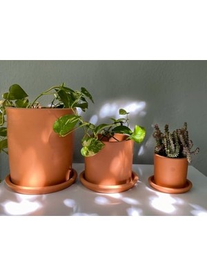 Aesco Doğal Terracotta Saksı ve Tabak - Pembenin Tonları (Küçük)