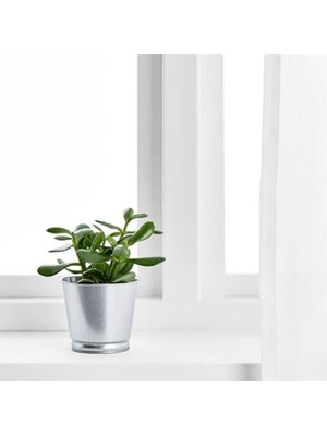 Aesco 9 cm Galvanizli Gümüş Renk Bitki Saksısı