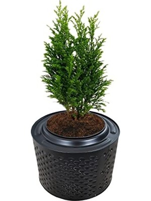 Aesco Fırınlanmış Metal Büyük Saksı - 33-38 cm Yükseklik, 45-55 cm Çap