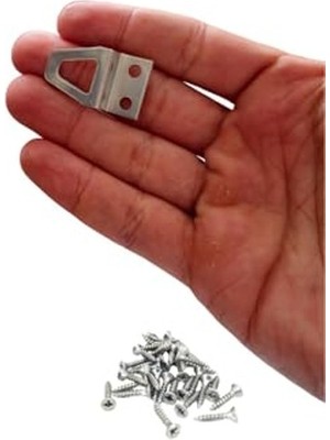 Aesco Tablo ve Resim Çerçevesi Askı Kancası, Metal ve Montaj Vidaları Dahil