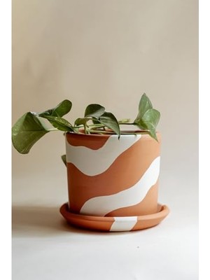 Aesco El Yapımı Terracotta Silindir Saksı + Tabak - Bohem Beyaz (Küçük)