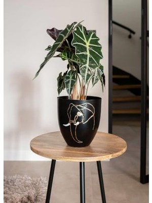 Aesco 16 cm Çapında Fil Desenli Siyah Metal Saksı