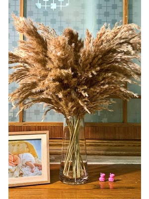 Sync Ticaret Alyones 10 Adet Kabarık Pampas Otu 100CM Doğal Kuru Pampas Dekor Boho Oda Çiçekleri Dekorasyonu