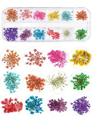 Sync Ticaret Nail Art Kurutulmuş Çiçek NG-155 1424