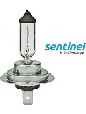 Fantastik Store Sentinel H7 Halojen Far Ampülü 12 Volt 55WATT