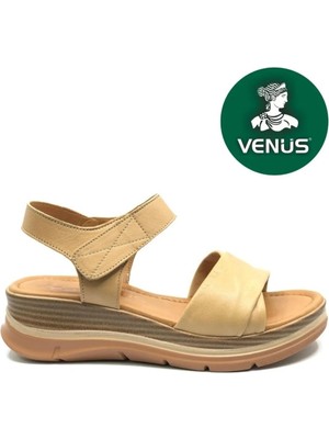 Venüs 26520200Y  Kadın Hakiki Deri Dolgu Tabanlı Premium Sandalet