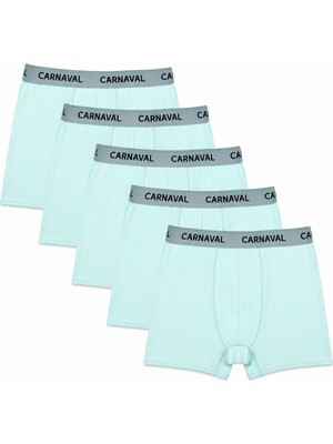 Carnaval Socks Erkek Boxer 5'li Set  Carnaval Breeze Mint