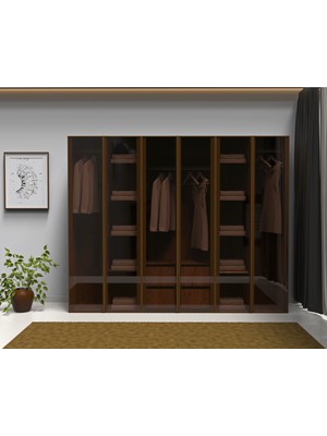 dolapmodellericom Bronz Şeffaf Camlı 6 Kapaklı Gardrop Ful Mdf
