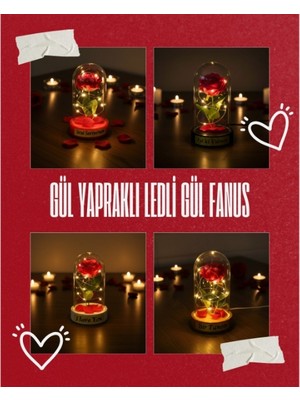 Cansa Gül Yapraklı Ledli Gül Fanus