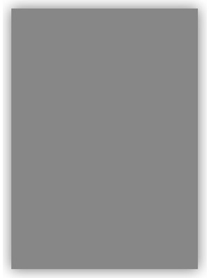 Belirtilmemiş Mondi Fon Kartonu 50X70Cm 120 Gram Koyu Gri NE2100-GR21 (100 Lü Paket)