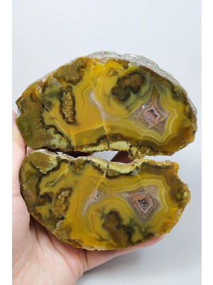 Healcrystal Hardal Altın ve Kahverengi Şeritli Siyah Deniz Agatesi Çifti, Tüylü Içerikler Ile