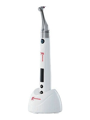 Woodpecker Endopace Endomotor