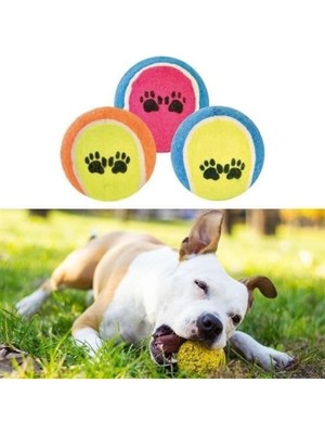 Die Grup 3'lü Renkli Desenli Tenis Topu - Kedi ve Köpek Oyuncağı