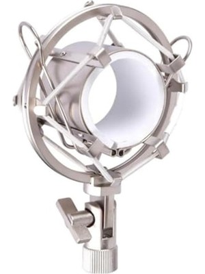 Die Grup Metal Shock Mount ile Gri Stüdyo Mikrofon - Profesyonel Kullanım Için