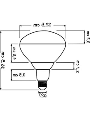 Die Grup 250W Infrared Şeffaf Ampul E27