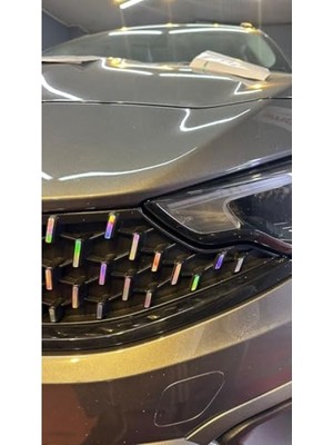Die Grup Hologram Ön Panjur Sticker Seti