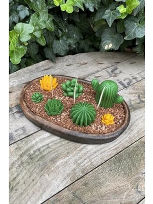 Die Grup Silikon Saguaro Kaktüs Mum Kalıbı, Yaratıcı Tasarımlar Için Uygun
