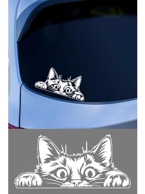 Die Grup Cam ve Metal Yüzeye Uygun Kendinden Yapışkanlı Kedi Oto Sticker, 15X15 cm