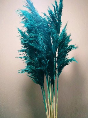 Alyones 8'li Büyük Demet Pampas Turkuaz 100CM Boyunda