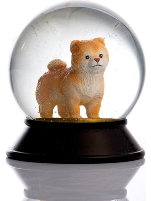 Cam ve Reçine Altın Patiler Köpek Pomeranian Boo (Kayısı) Kar Küresi Hediye