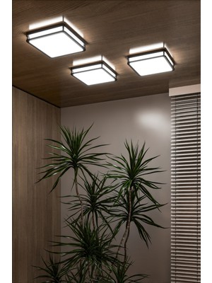 Empressco Şık Sıva Üstü LED Armatür, Banyo, Balkon, Salon, Beyaz 24W