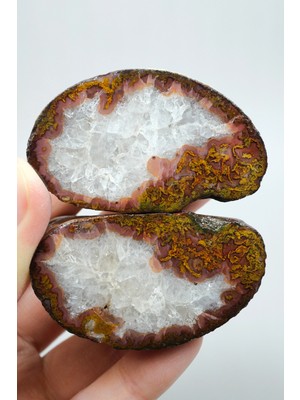 Healcrystal Canlı Yanmış Turuncu ve Hardal Sarısı Tüy Siyah Deniz Agatı Çifti