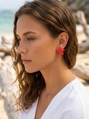Stelle Jewelry Paslanmaz Çelik Renkli Deniz Yıldızı Küpe - Yaz Sezonu Deniz Konseptli Çivili Küpe Seti