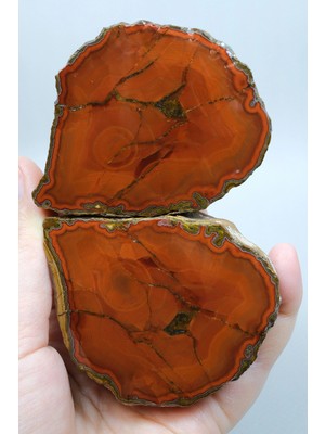 Healcrystal Red Fox ve Yanmış Turuncu Bantlı Siyah Deniz Akik Taşı