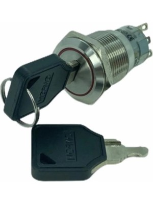 Buççin Online Mağaza NO95 LAS1-AGQ-11Y-21 19MM Metal Anahtarlı Switch 0-I IP65