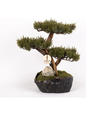 Omnia Concept Calipso Bonsai-4 Masaüstü Kullanıma Uygun Mini Yapay Bonsai Ağacı - 30X40 cm