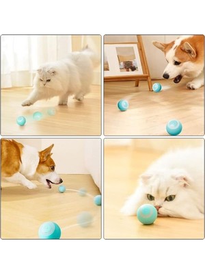 Ttt İnteraktif Kedi Köpek Şarjlı Oyun Topu