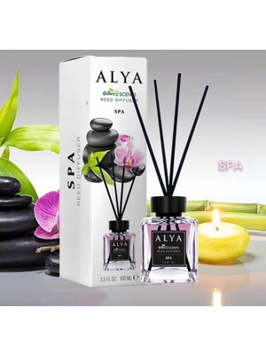 Aesco Spa Bambu Çubuklu Oda Kokusu