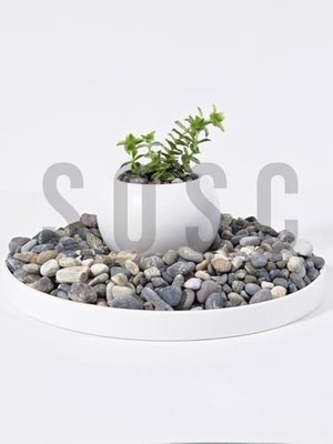 Aesco Doğal Nazilli Dere Çakıl Taşı, Tamburlanmış Dekoratif Taş, 1-2 Cm, 1 Kg, Saksı Dibi, Akvaryum ve Bahçe Düzenleme Için