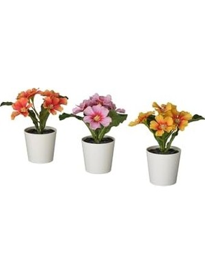 Aesco Fejka Saksılı Yapay Bitki, Karışık Renkler, 6 Cm, Çuha Çiçeği, Iç-Dış Mekan