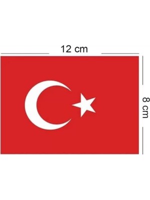 Aesco 23 Nisan Dekoratif Süsü Flama Okul Süsü, Atatürklü Balon, Türk Bayrağı Pano Süsleri “3 Metre Led”,