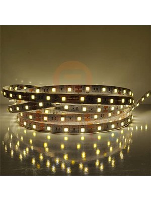 Aesco 5 Metre Şerit LED Günışığı Renk + 12V 5 Amper 60 Watt LED Trafo -3 Dirençli Double Pcb - Yeni Nesil Oturma Odası, Yatak Odası ve Mutfak Için Gizli Aydınlatma