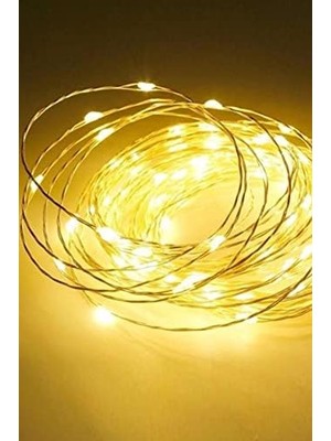 Aesco 5 mt Pilli LED Peri LED Gün Işığı Sabit Mod Pilli Yılbaşı Işığı 1410