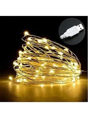 Aesco Peri LED 10 Metre USB Girişli