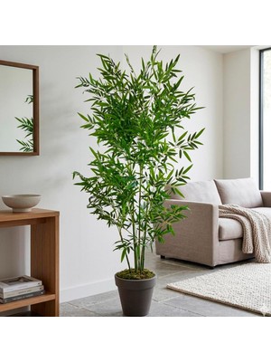 Dekorsende Yapay Bambu Ağaç 6 Dal 160 cm