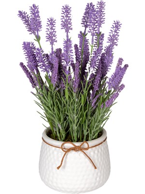 Herdekora Seramik Beyaz Saksıda Lavanta Aranjmanı Açık Mor 21X34 Cm.