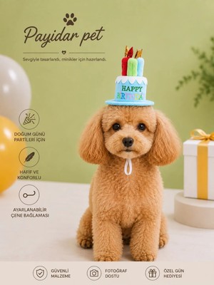 Kedi/köpek Doğum Günü Şapkası - Evcil Hayvan Parti Şapkası