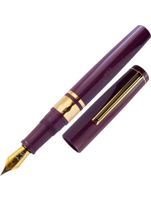 Esterbrook Model J Dolma Kalem Blackberry Ebonite Medium
