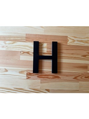 OZN 3D Tasarım Dekoratif Harf 'h' Allerta Font (20 Cm)- Siyah