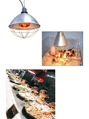 Ahl Shop Ledvance 250W Infrared Şeffaf Ampul E27